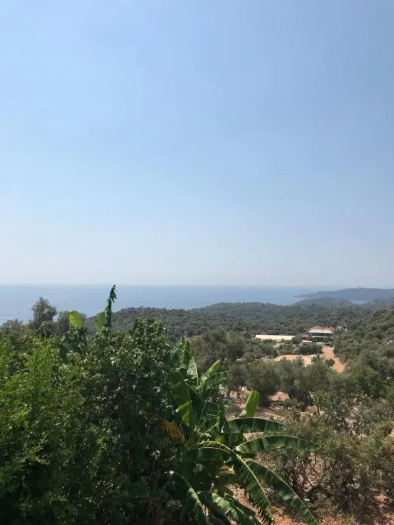 Senayablaevpansiyonculuk