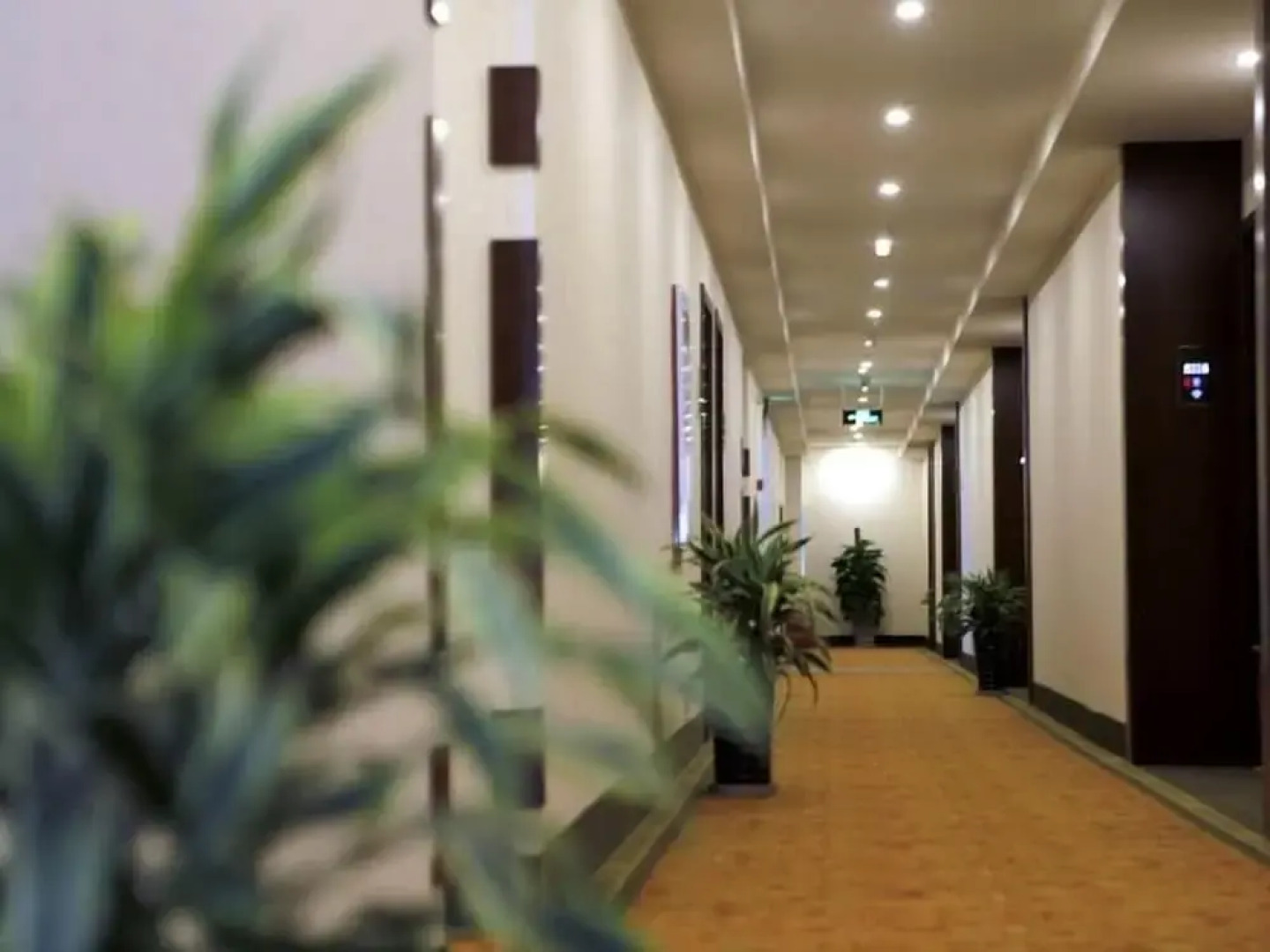 Greentree Inn Zhongnan Century City Express Hotel