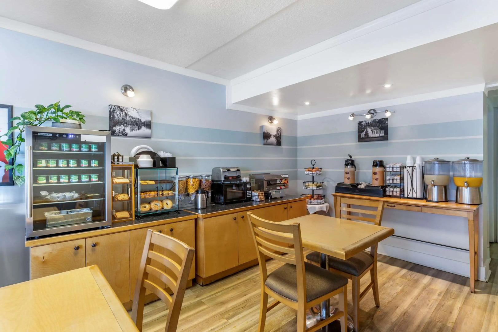 Econo Lodge Conway Central