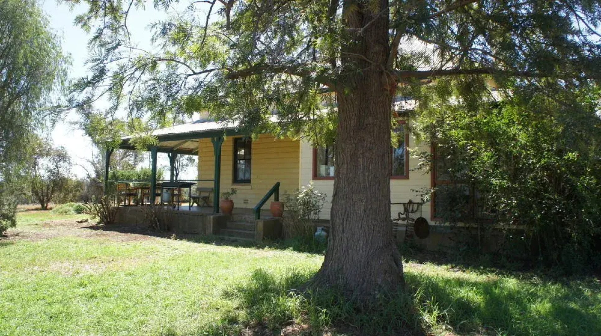 Rosnay Organic Vineyard, Olive Grove, Figs and Farmstay