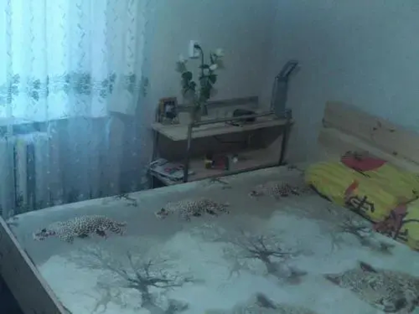 Guest house V pomosh' turistam