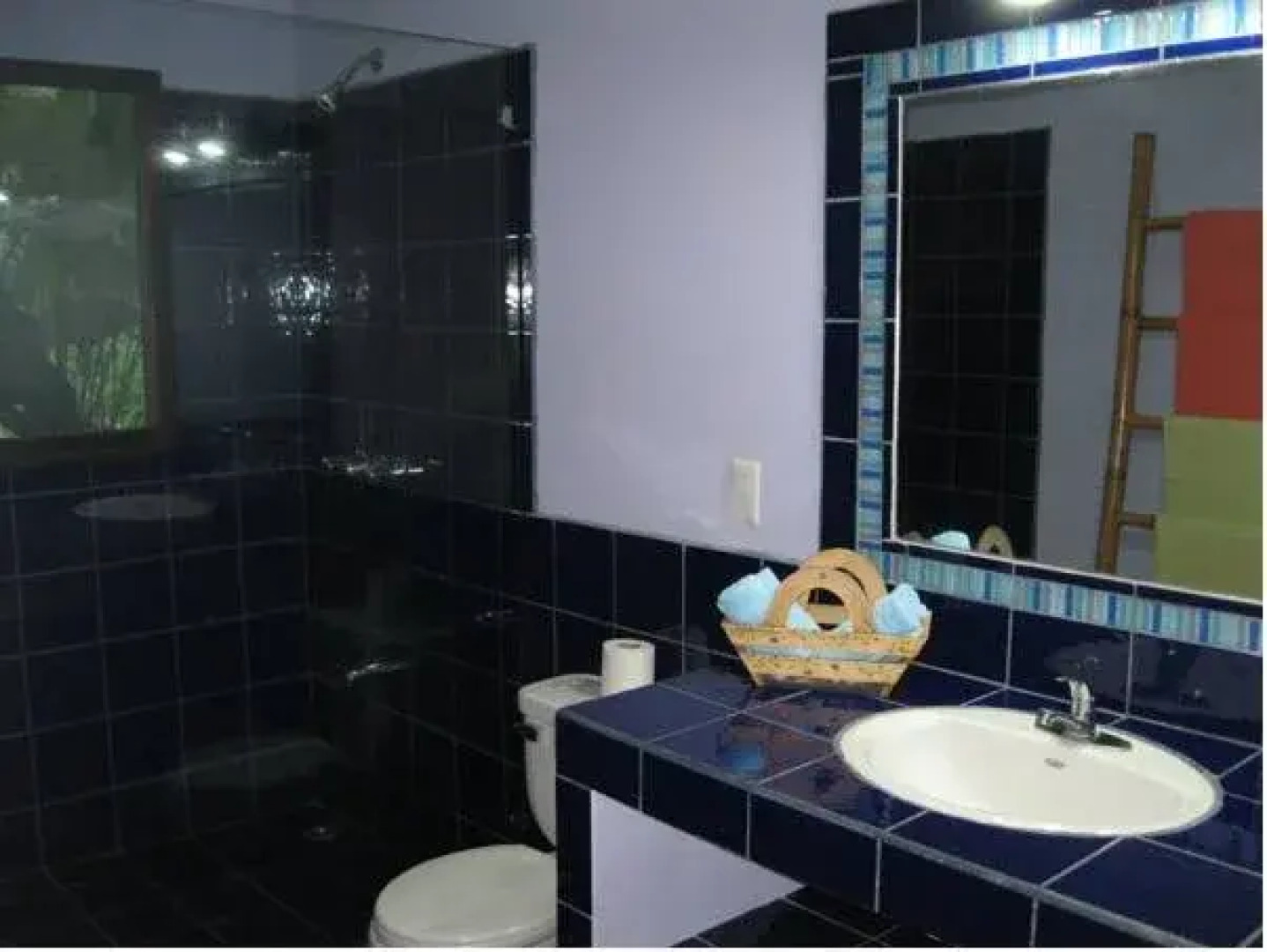 VIP Hotel Playa Negra