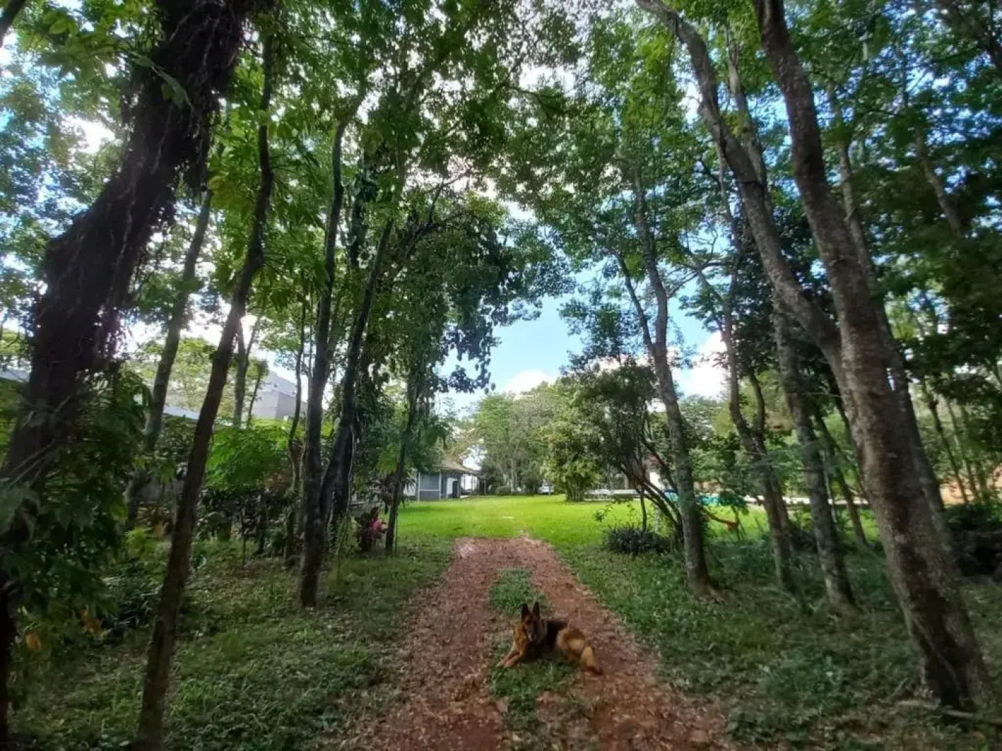 Parana Riverside Guest House - Posadas