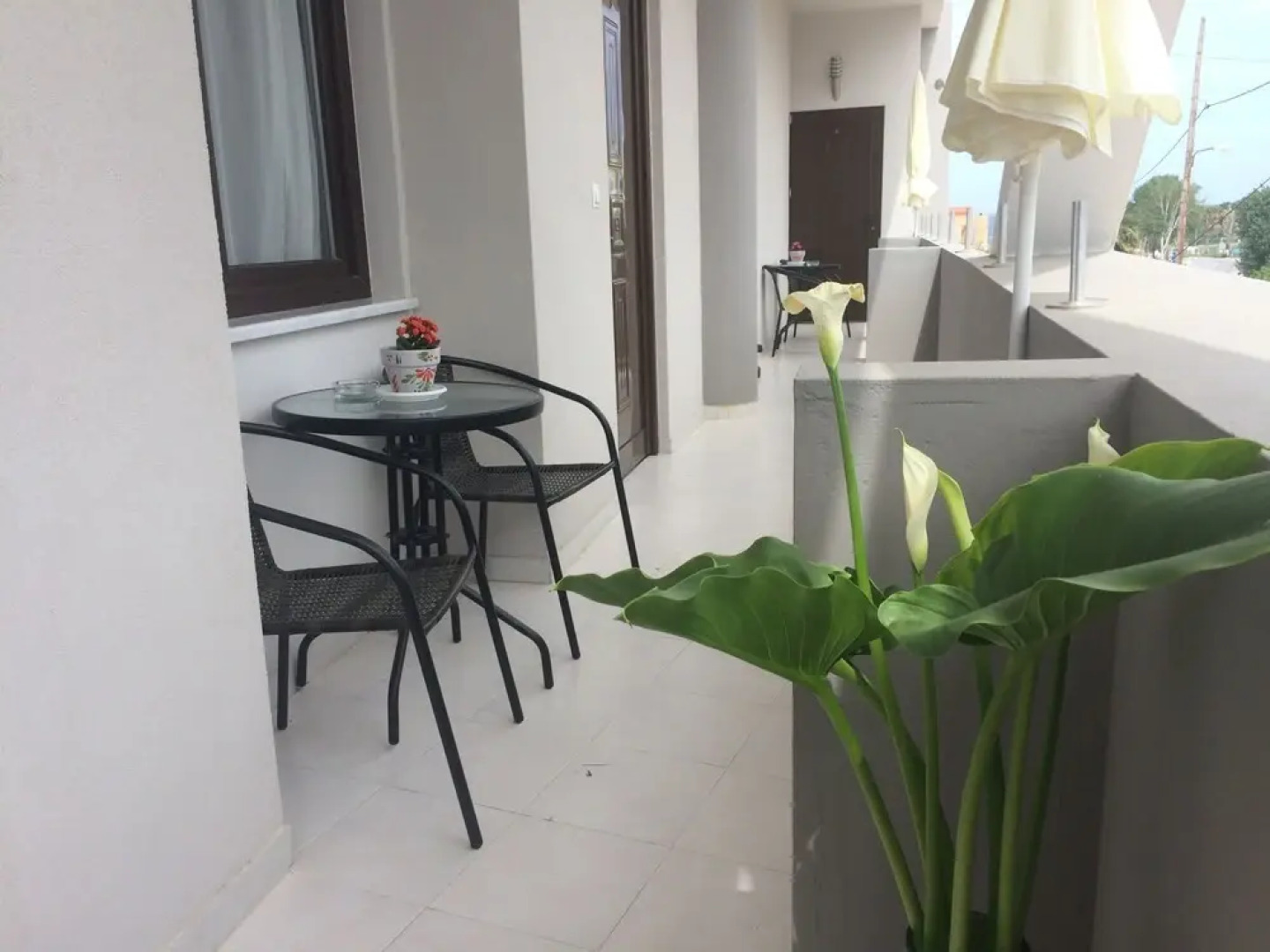 Posto Studios - Adults Only