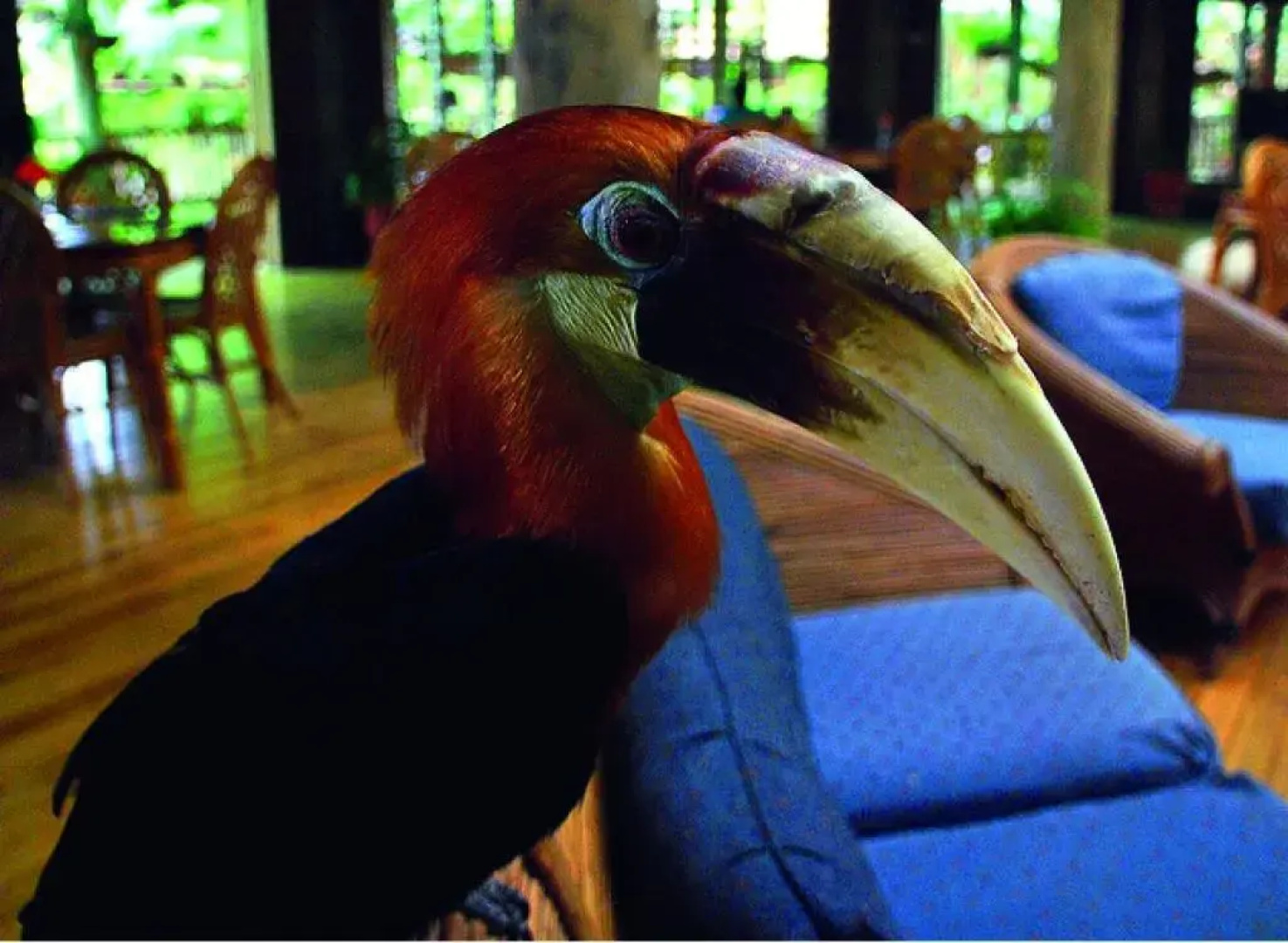 Tufi Resort