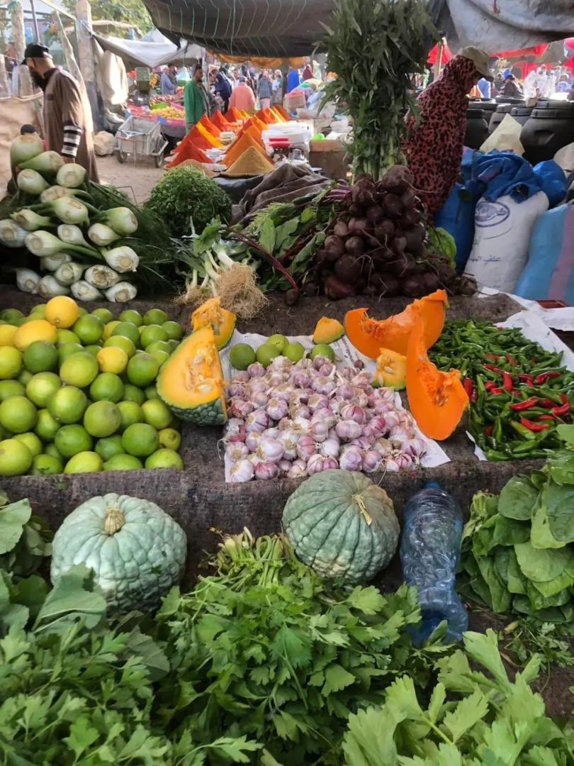 Taghazout bay Tamraght appartement