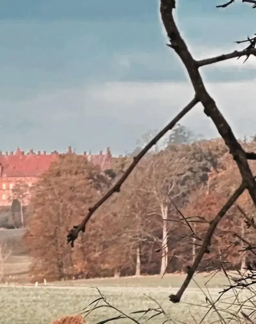 The Woodland Lodge Gisselfeld