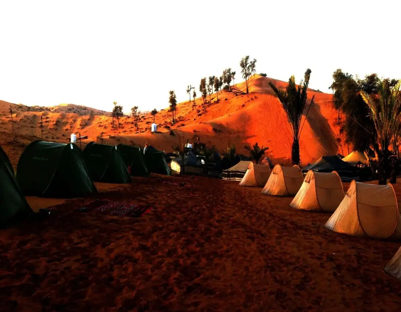 Bedouin Oasis Camp