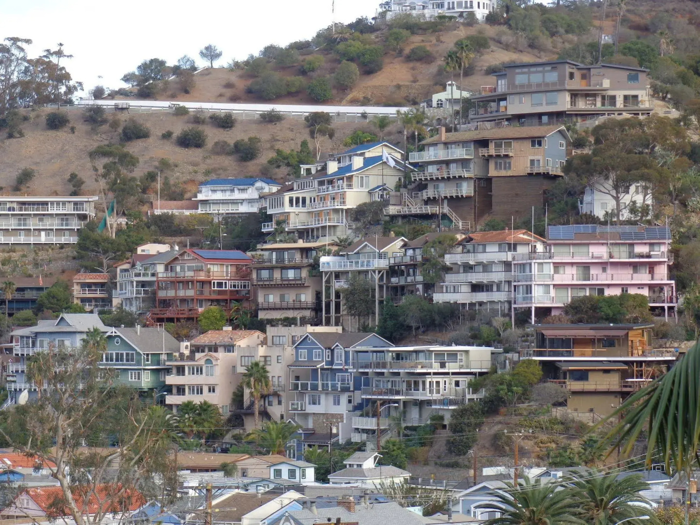 La Paloma Las Flores