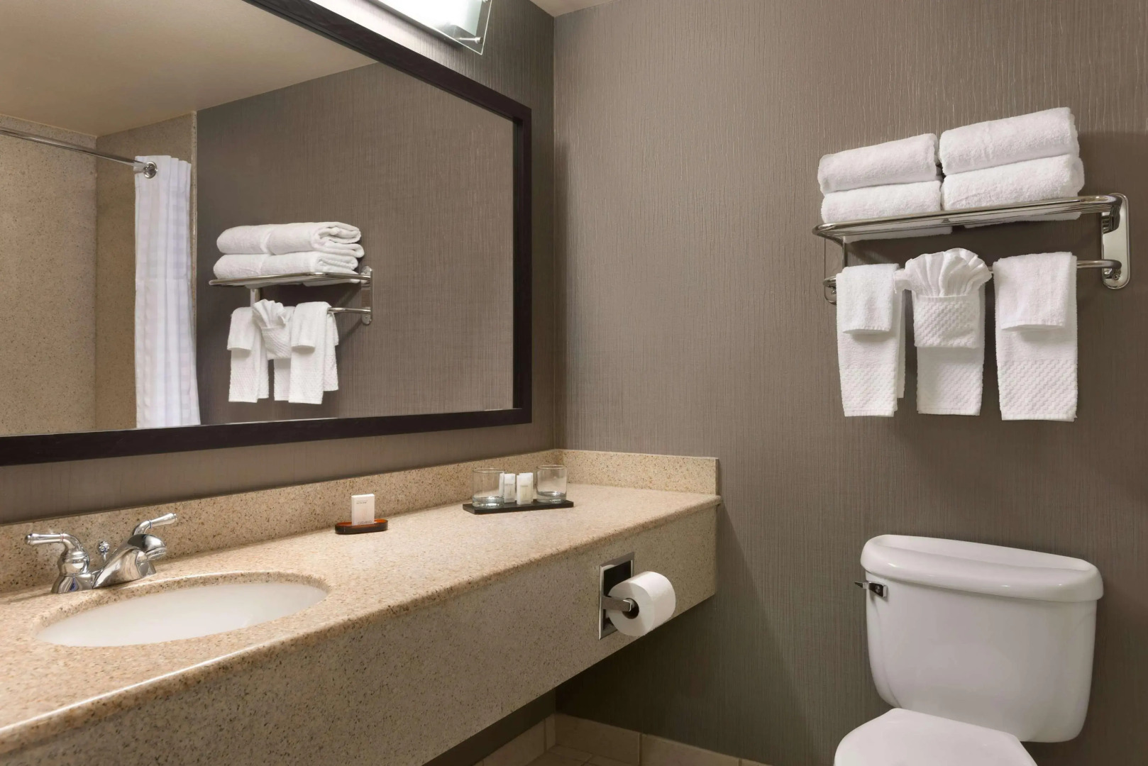 Embassy Suites by Hilton Franklin Cool Springs