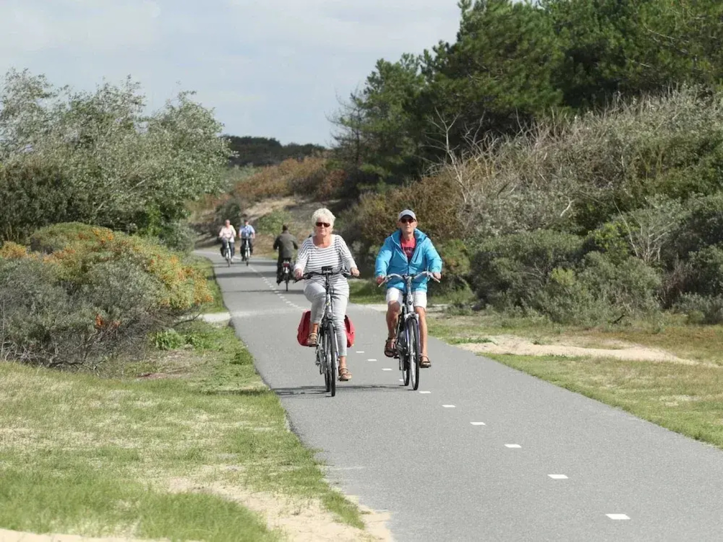 Vakantiepark Duinrust