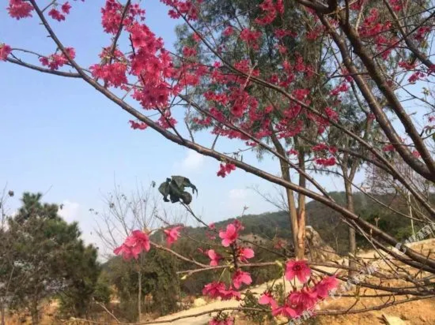 Mandenburg Hot Spring Resort Hotel（Fogang Hemingzhou）