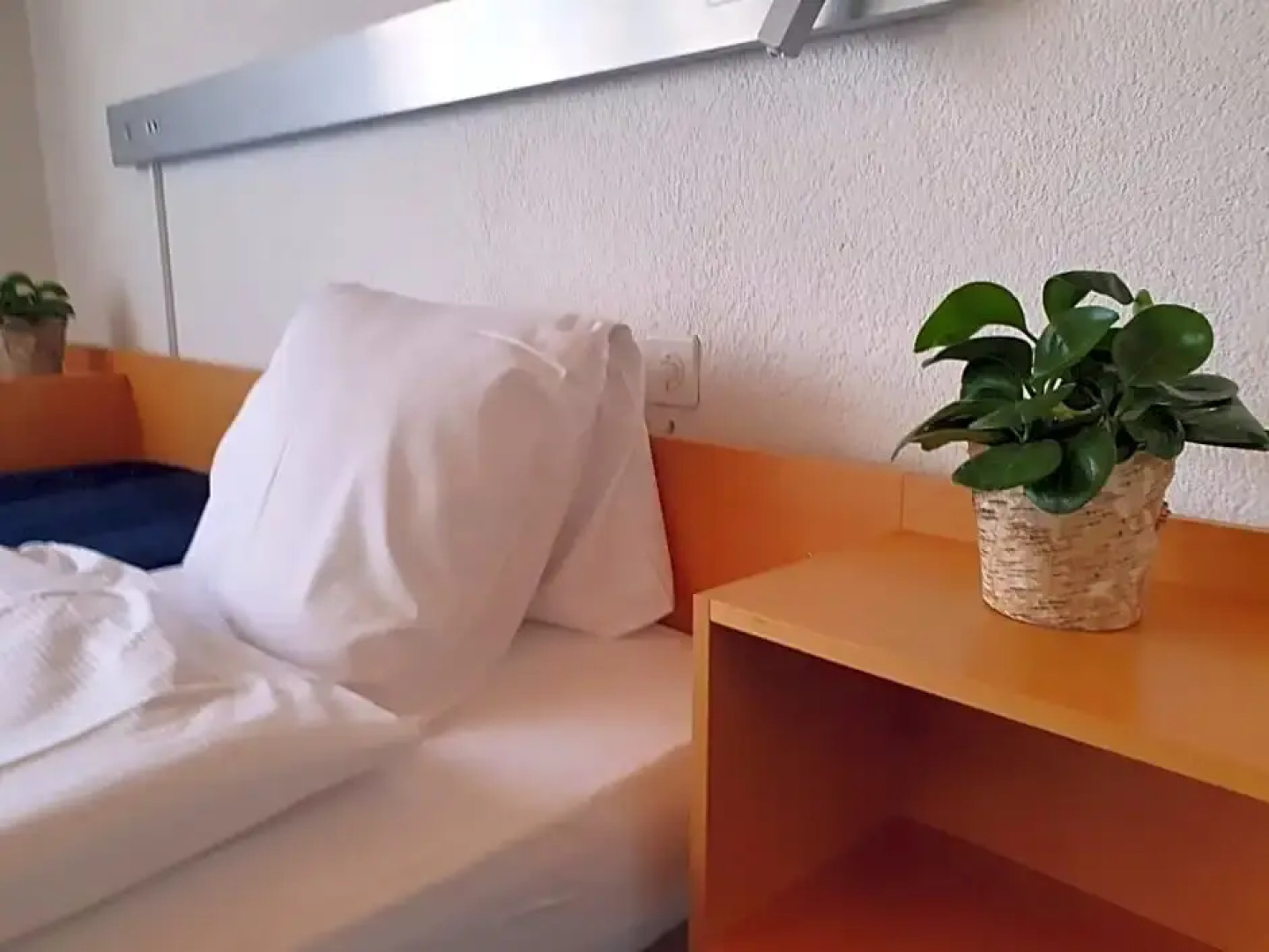 Erlebnisland Grizzlybär