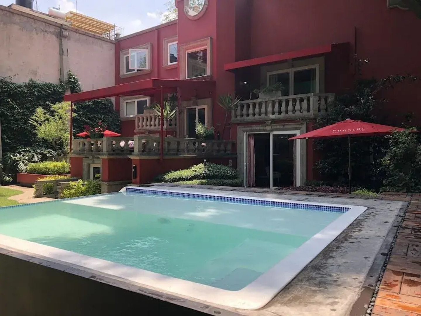 Pug Seal B&B Coyoacan