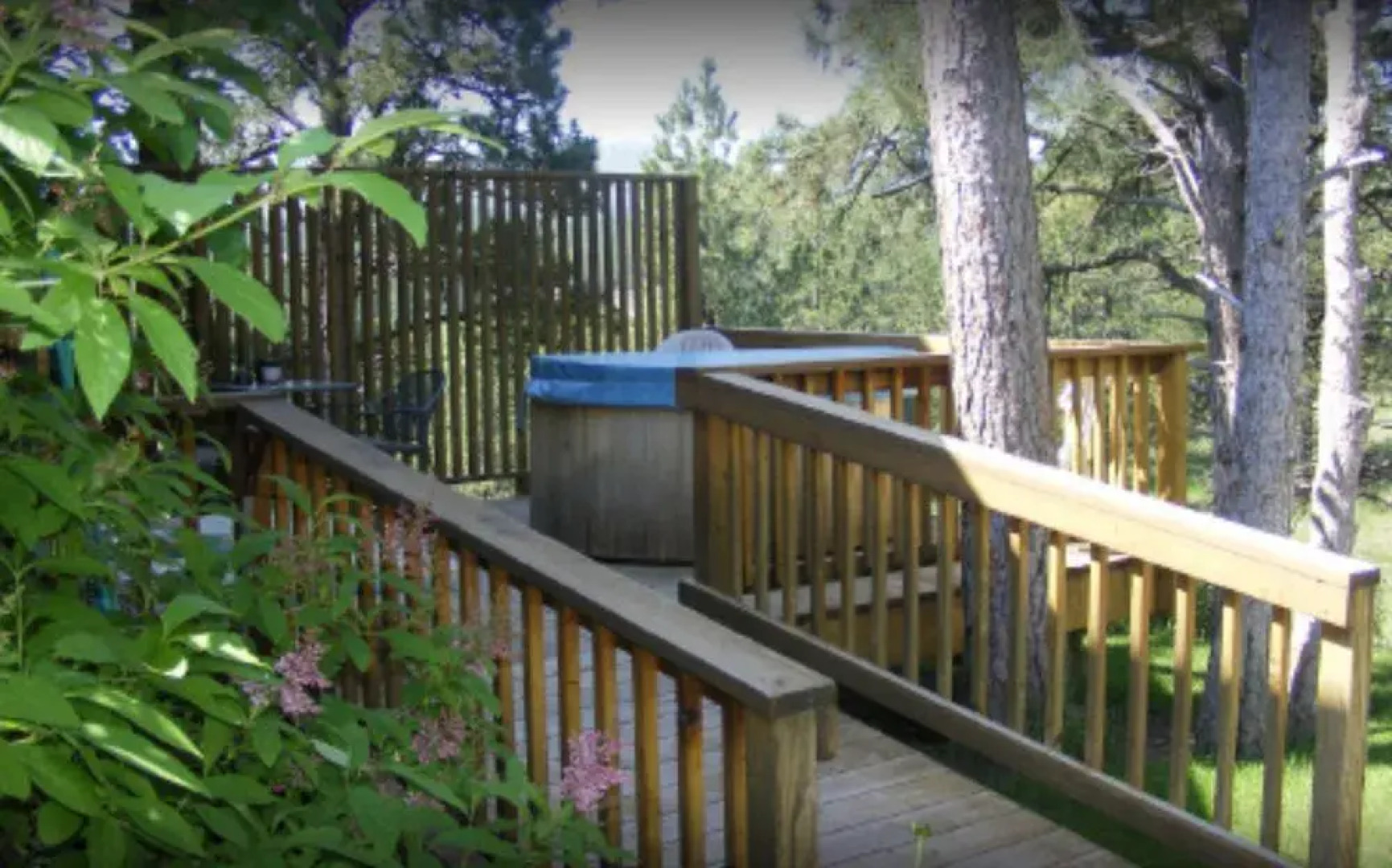 Coyote Blues Bed and Breakfast