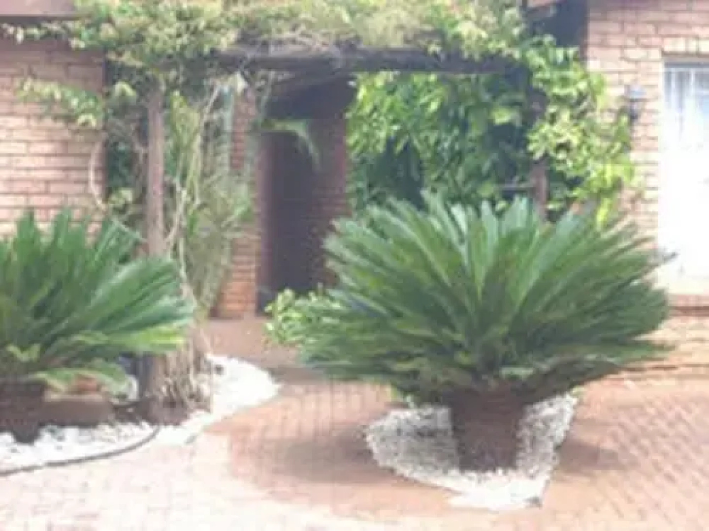 Cycas Guest House