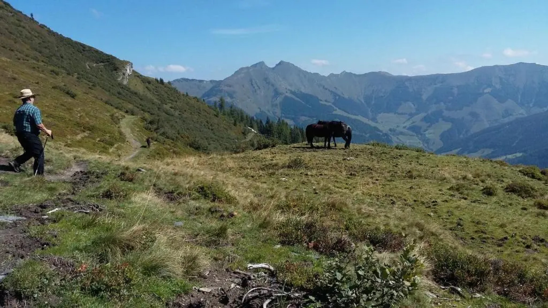 Pension und Appartement Weinschreiber