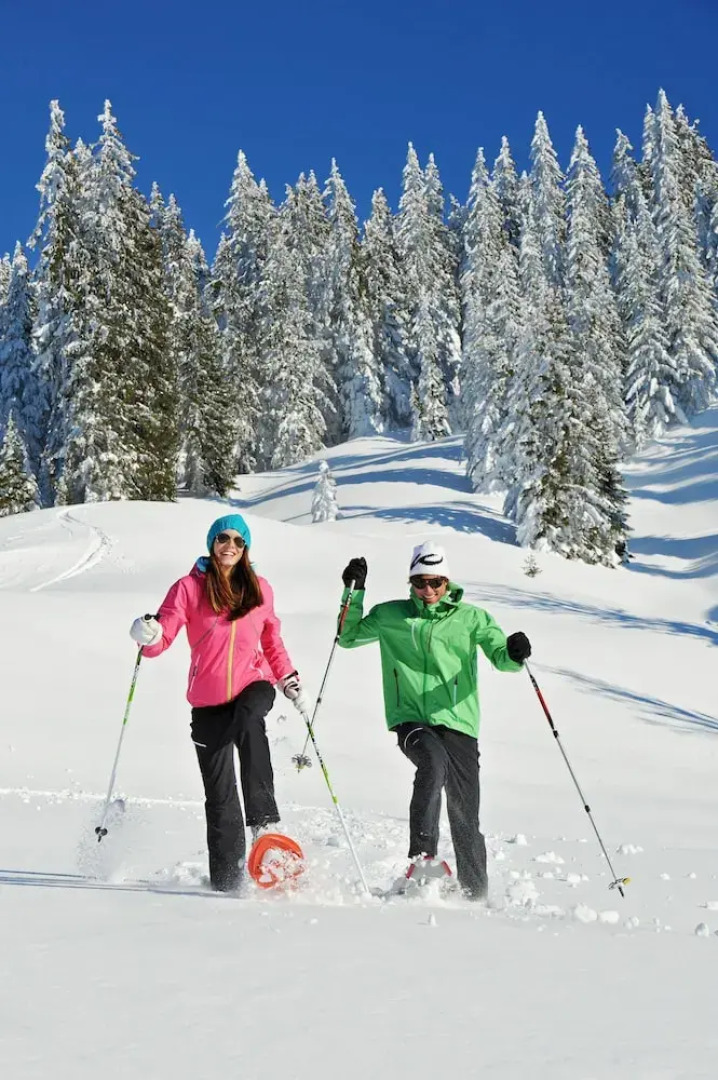 Apartments – Residence Maria Alm