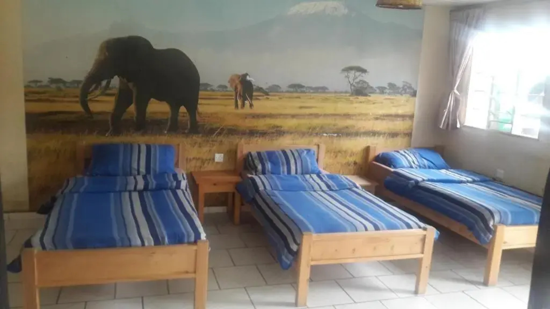 Villa -Guesthousejane & Apartments