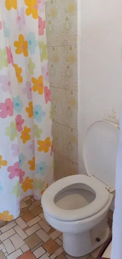 Andorina Hostal, Arte & Cultura