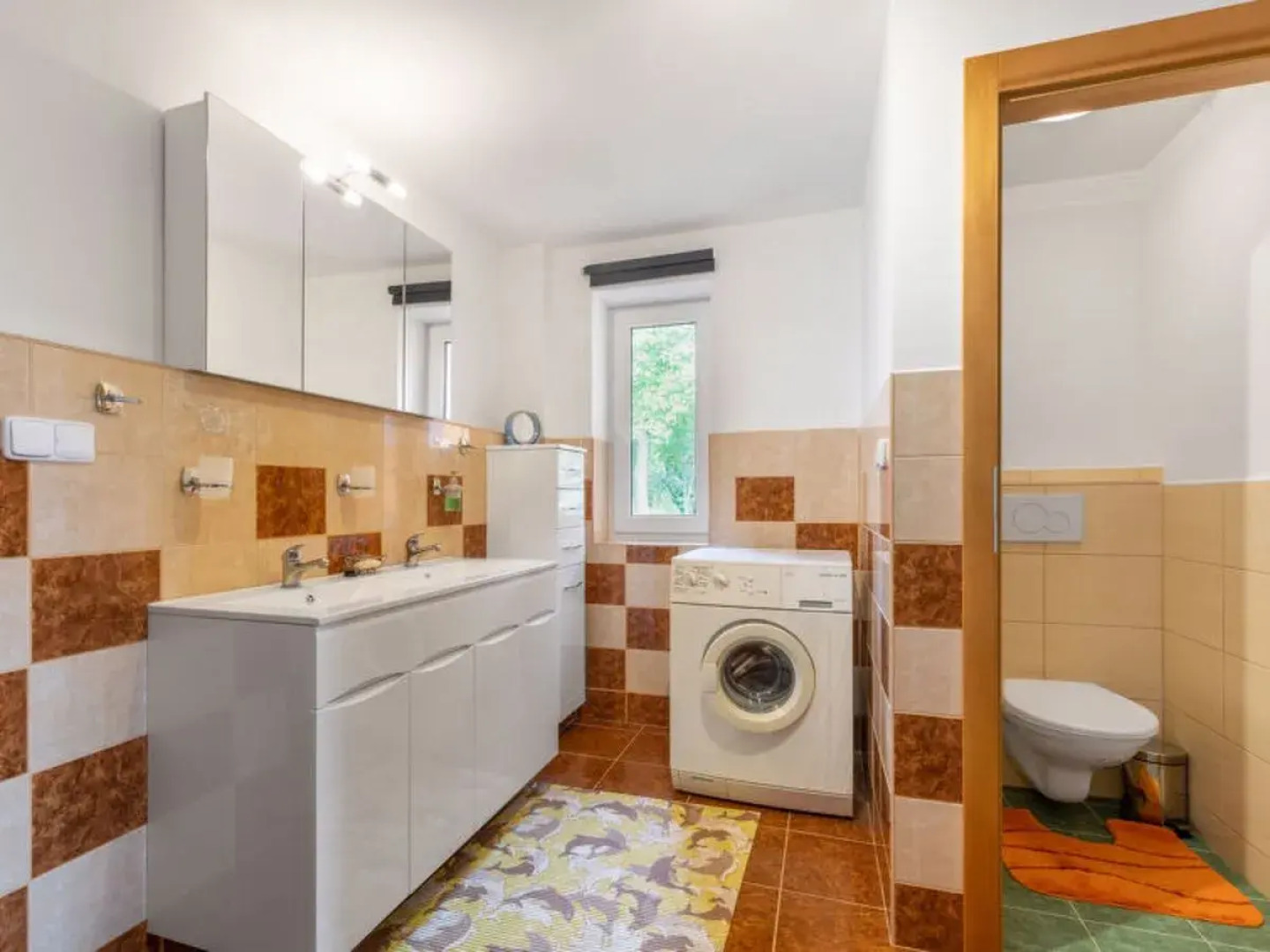 Rokytnice v Orlických horách