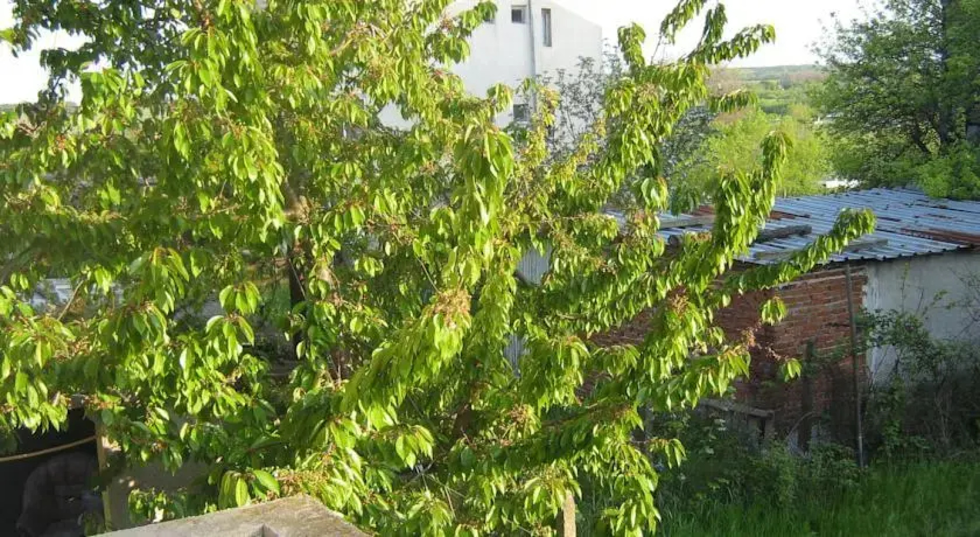 Zelenika Guest Rooms