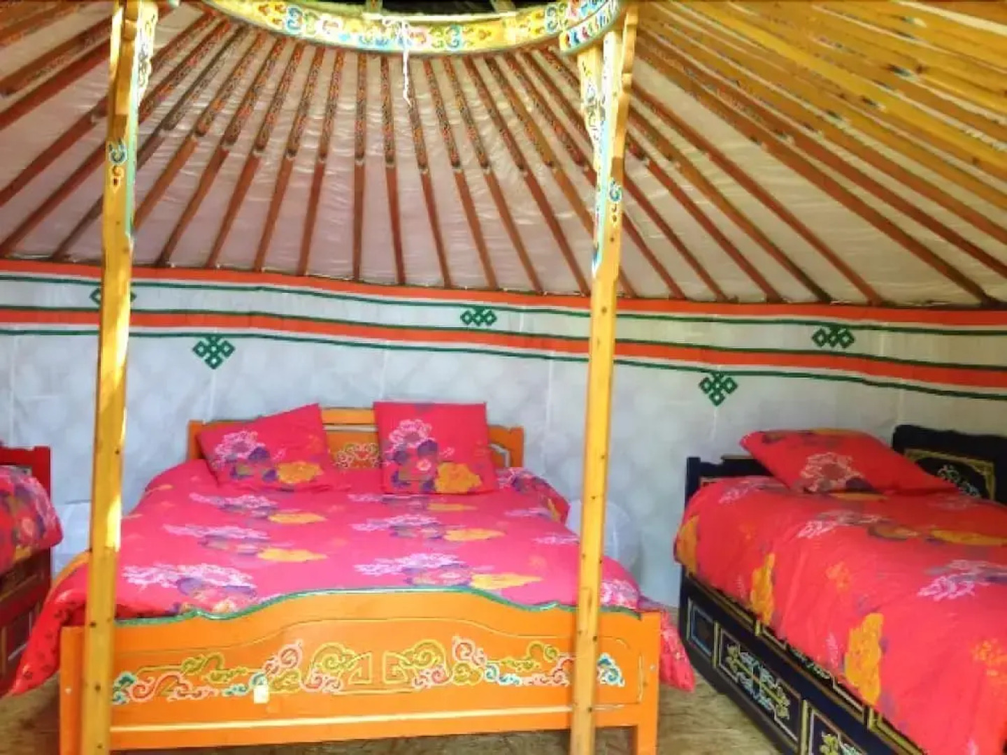 Aloe Camping Mepillat