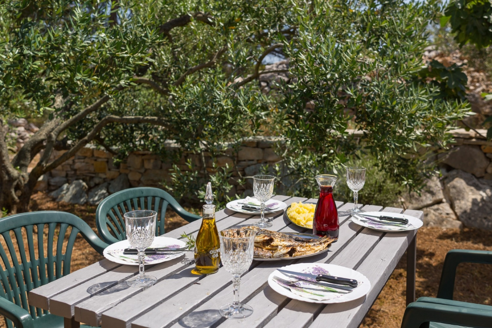 Holiday house Villa Ante - with pool: Rogac, Island Solta