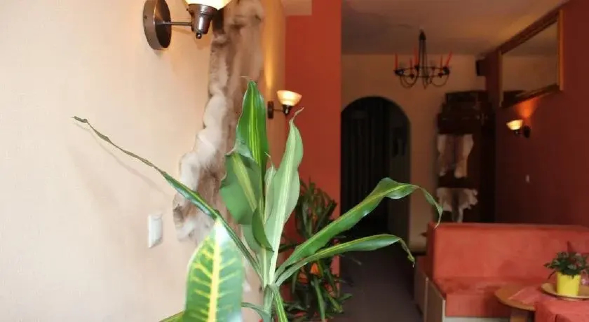 Horský Hotel Minciar