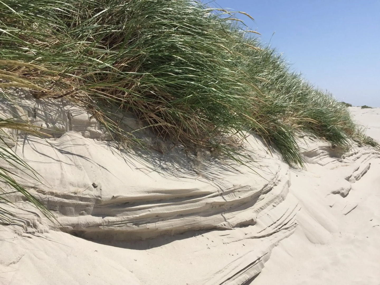 Hotel Restaurant Friedrichs