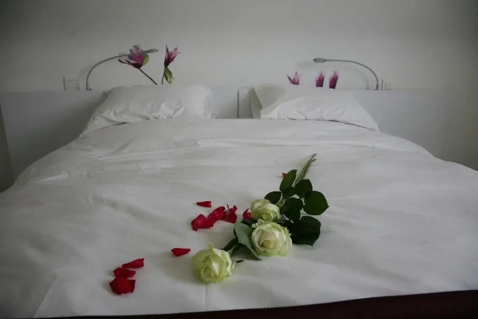 B&B Kanegem Onverbloemd