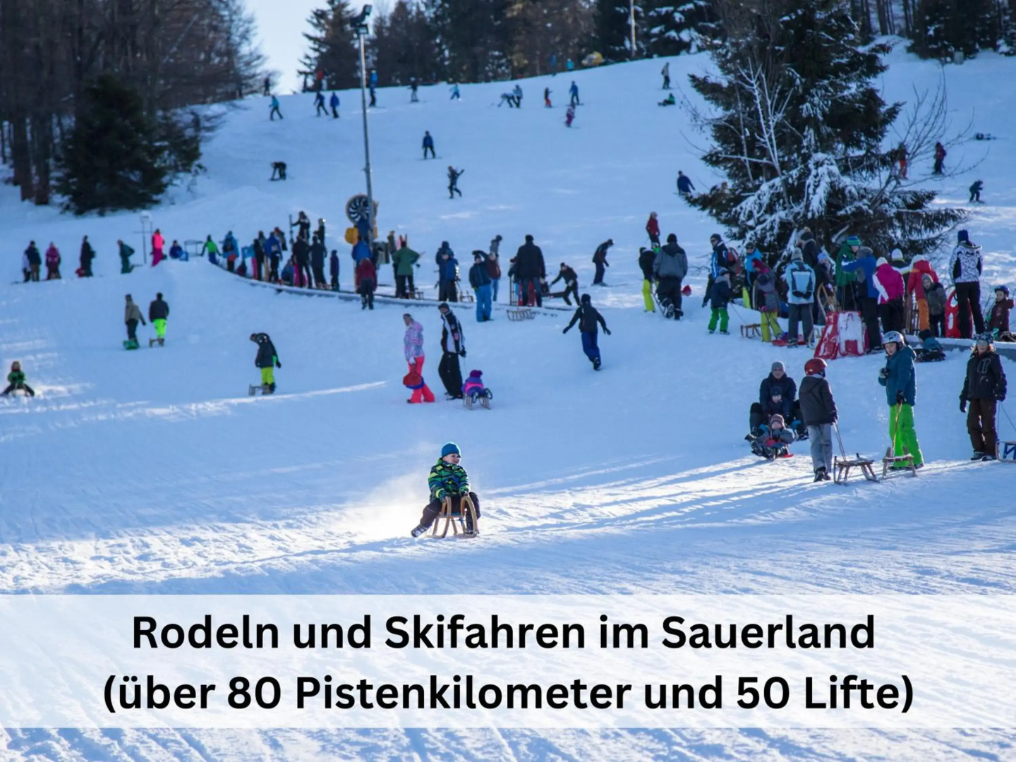 Komplettes Ferienhaus für bis zu 15 Personen mit großem Garten, Sauna-, Grill- und Fitnessbereich