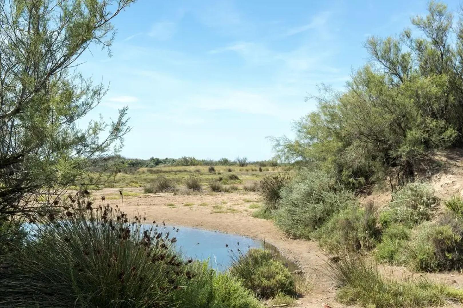Domaine Les Mûriers