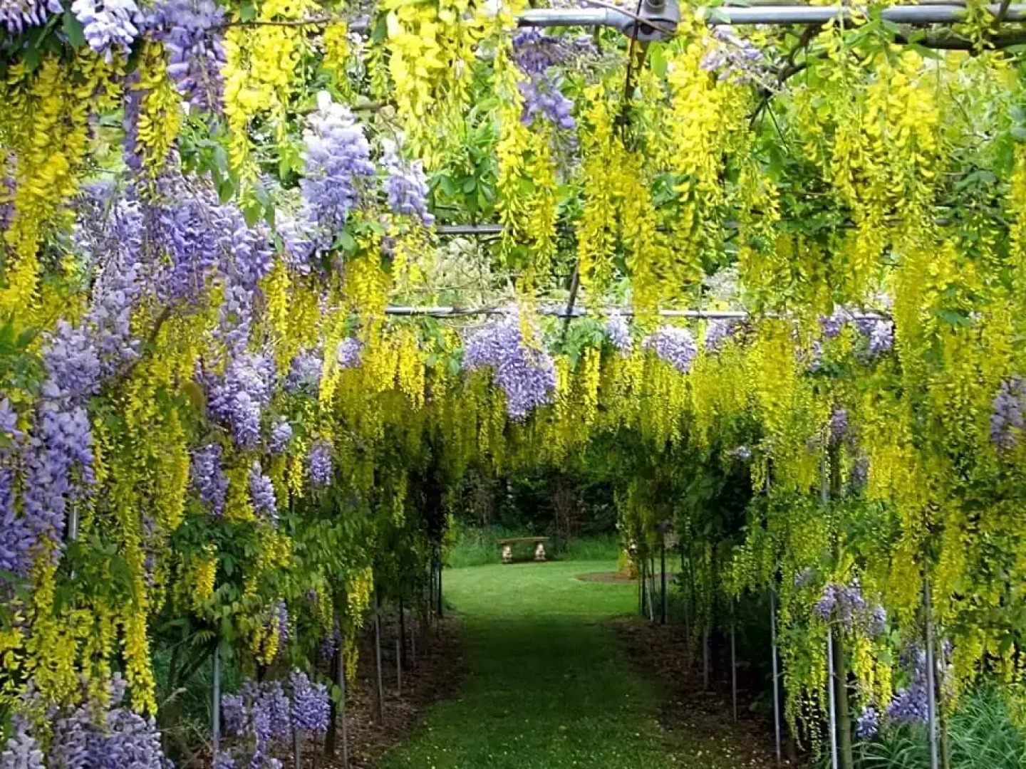 The Beeches Bed and Breakfast