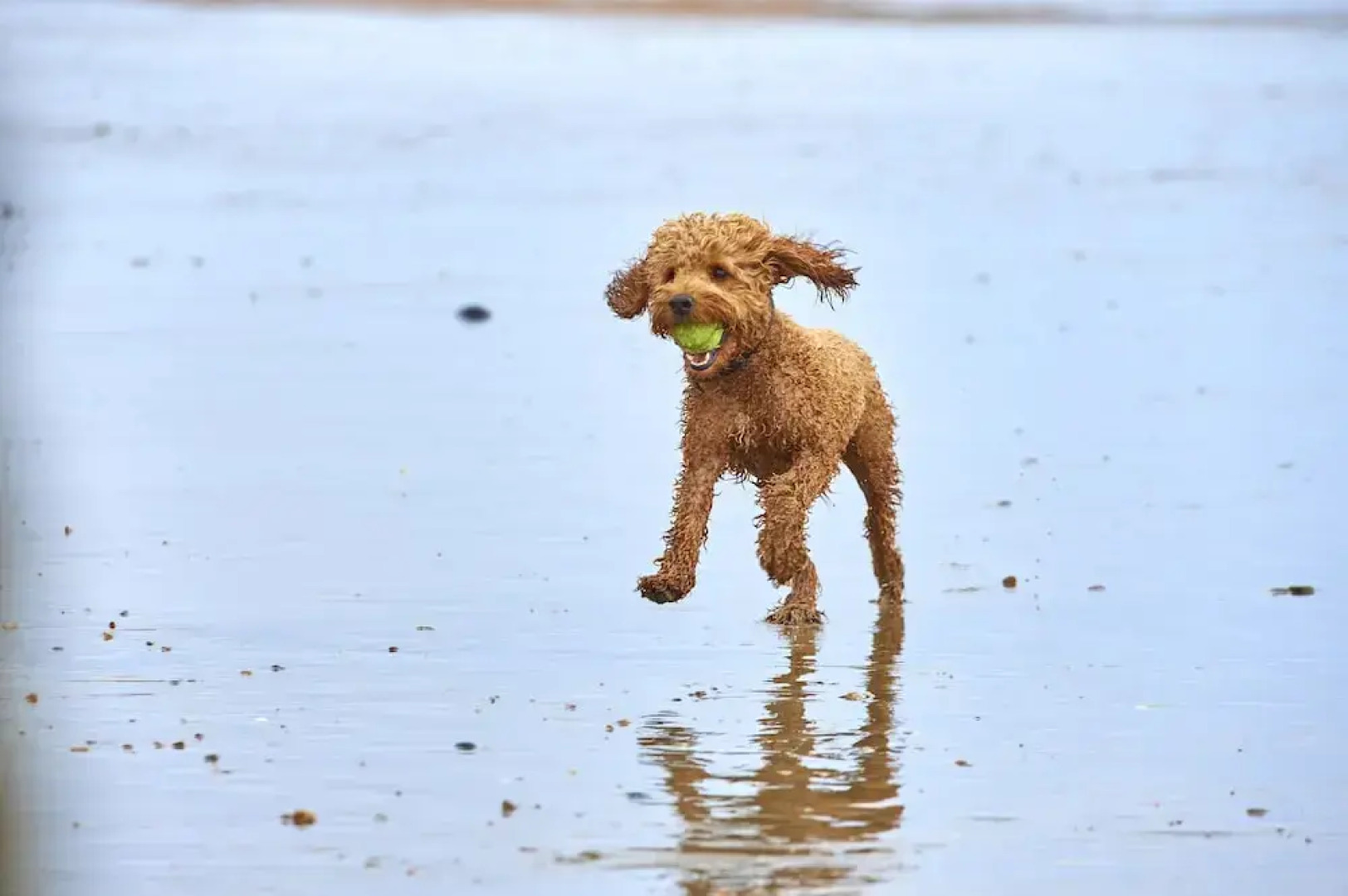 The Relais Cooden Beac