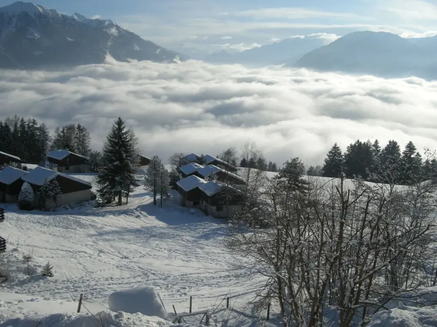 Cozy Apartment in Sarn near Forest