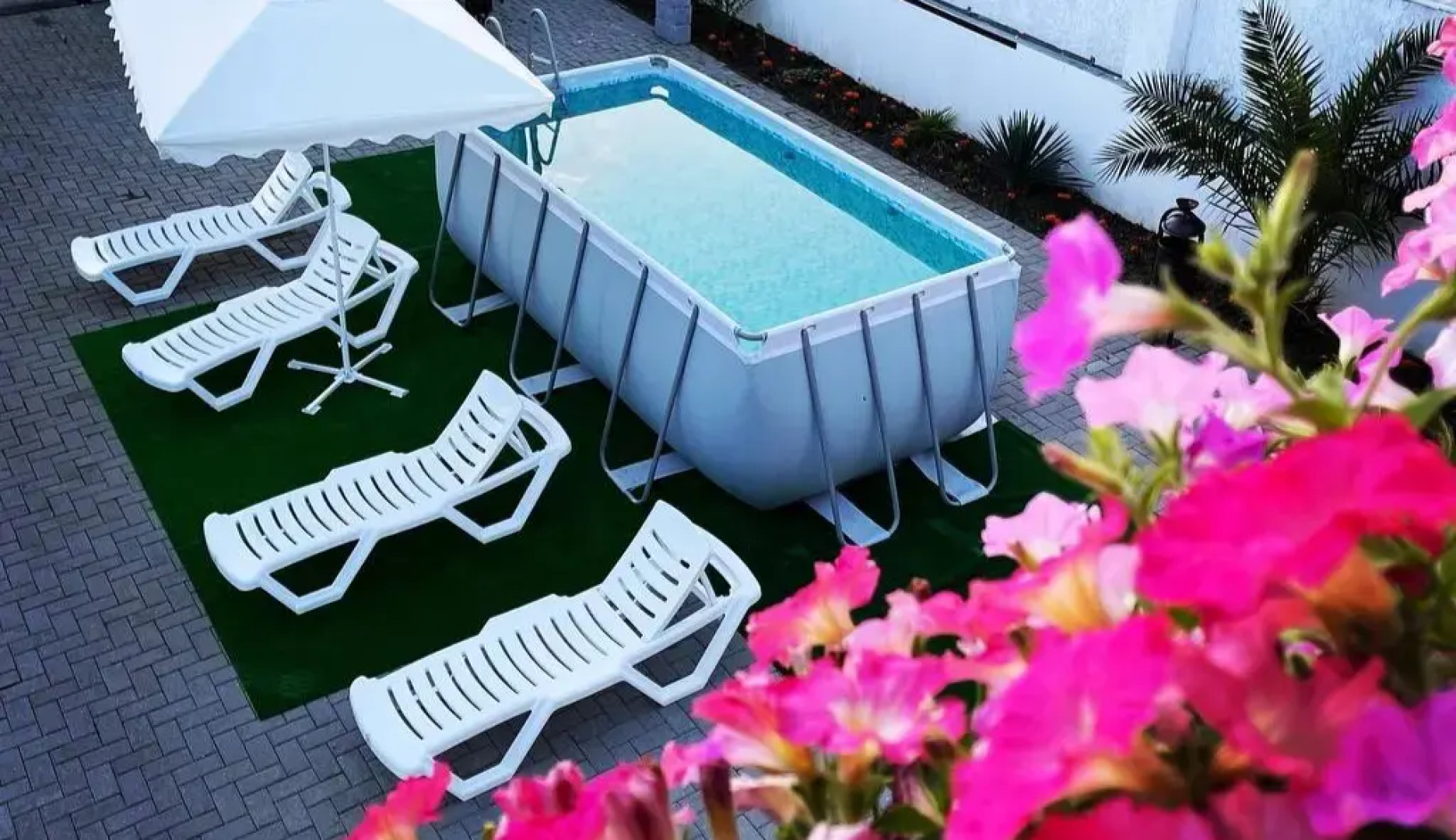 Три павлина