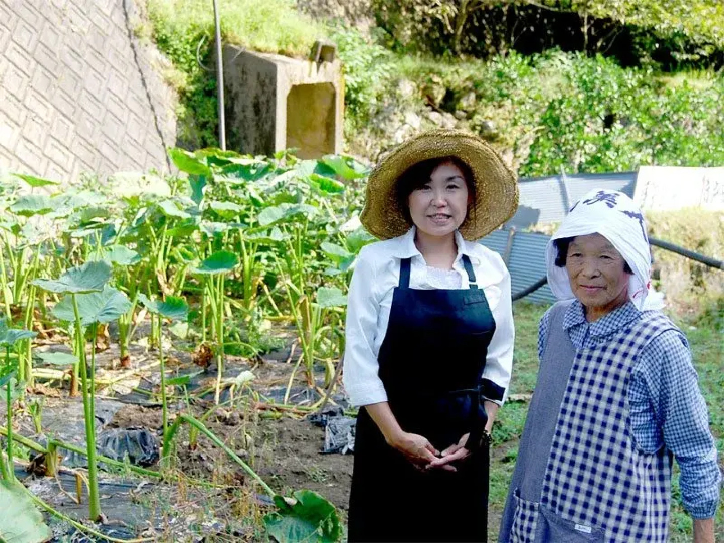 Ryokan Chiisana Oyado Tsuki no Hotaru
