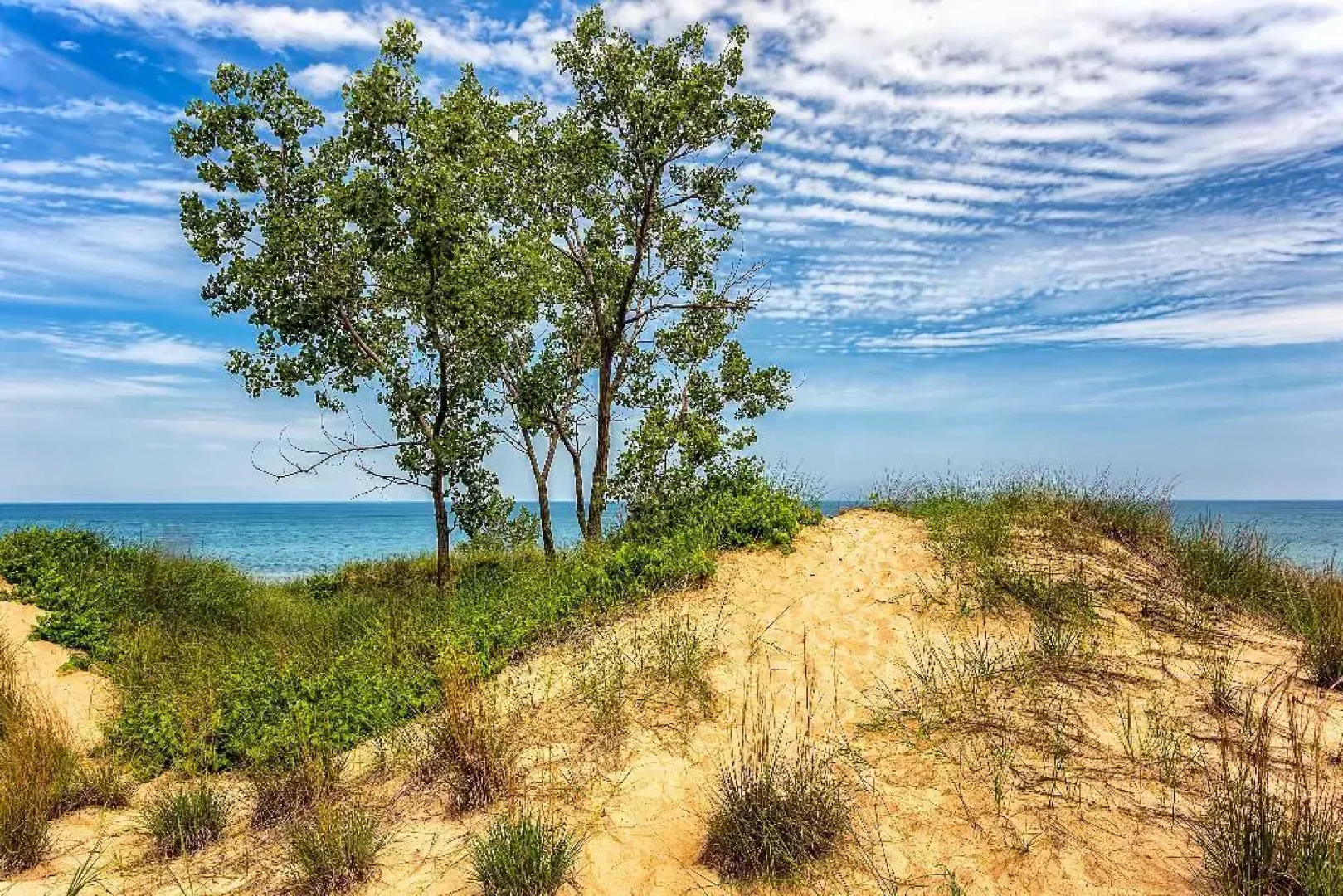 Staybridge Suites Schererville by IHG