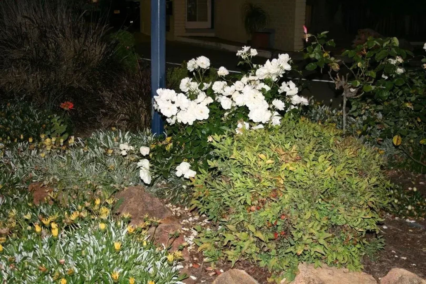 The Plains Motor Inn