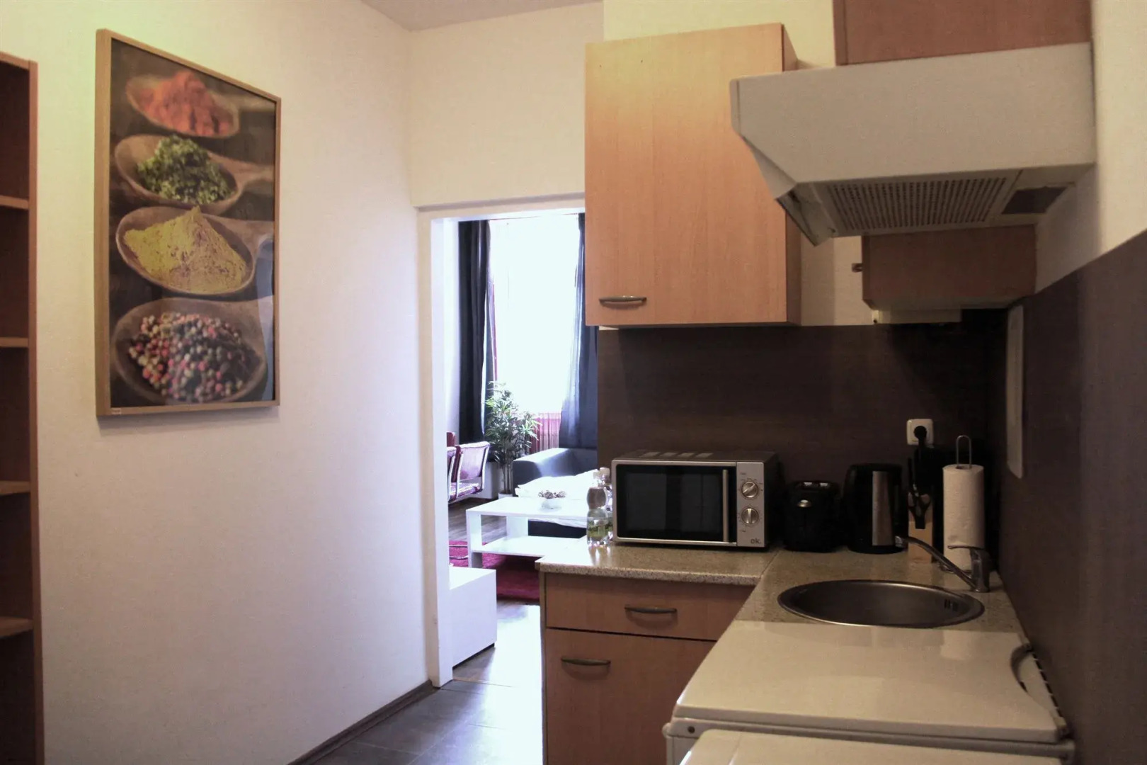 Apartment Davidgasse