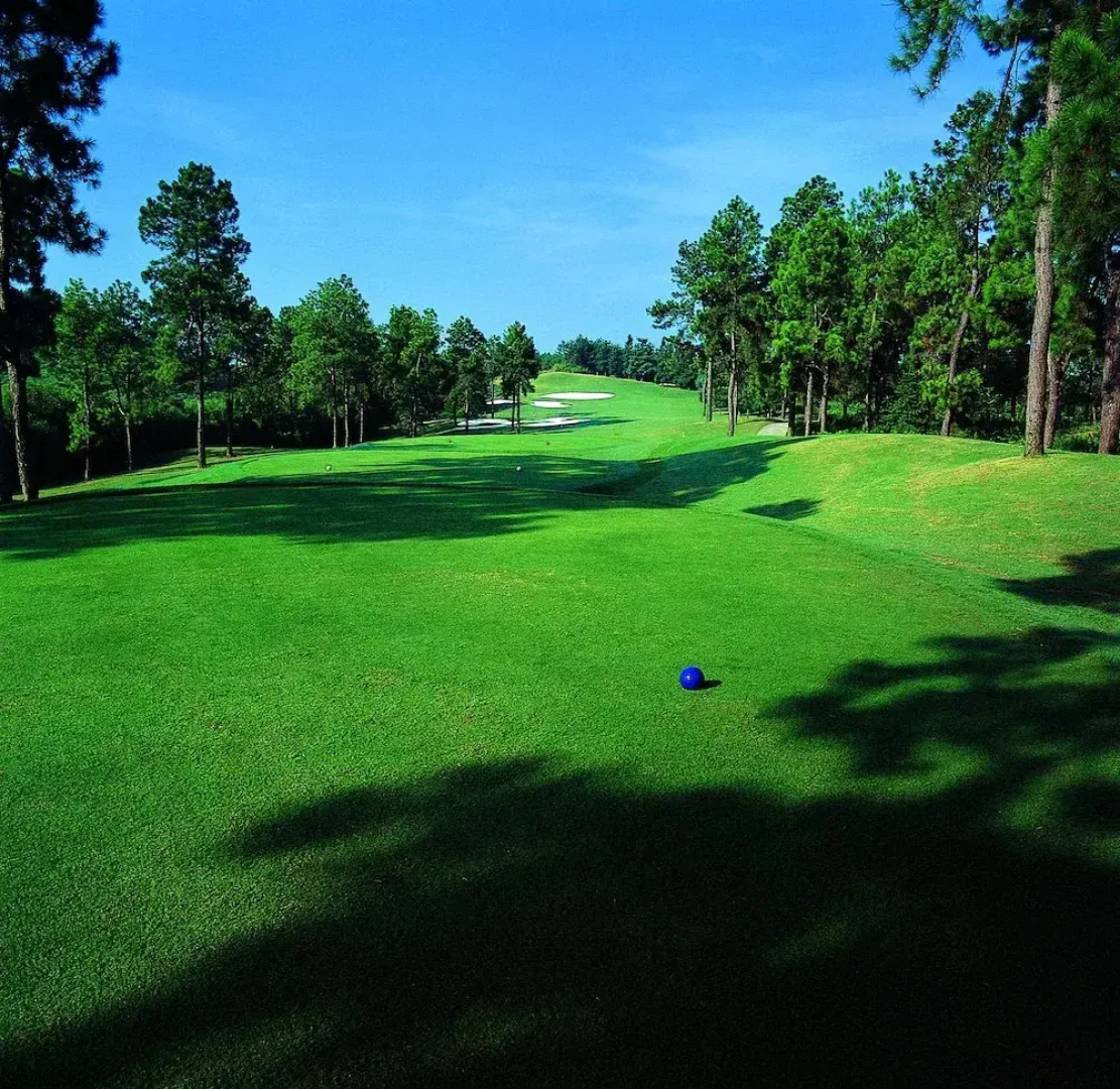 Huangshan Four Seasons Junsheng Hotel