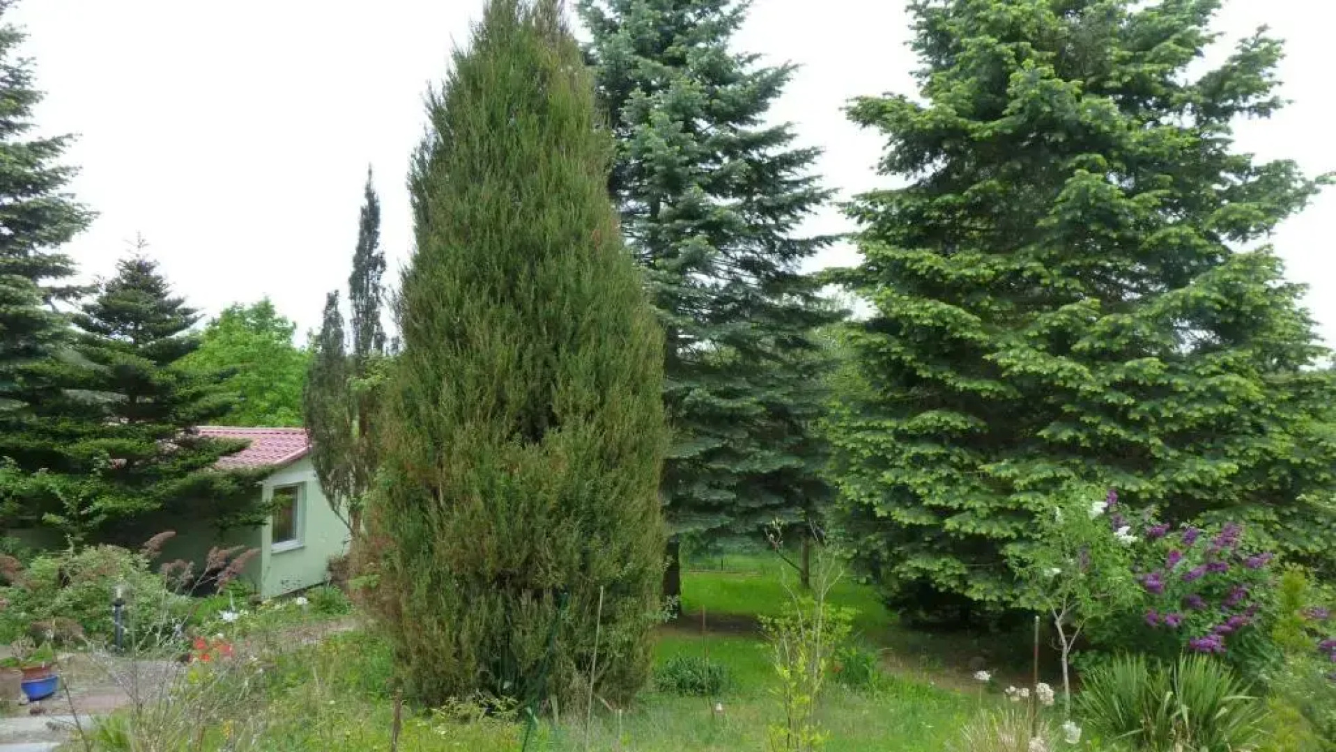 Bungalow Am Kustrinsee Bei Lychen