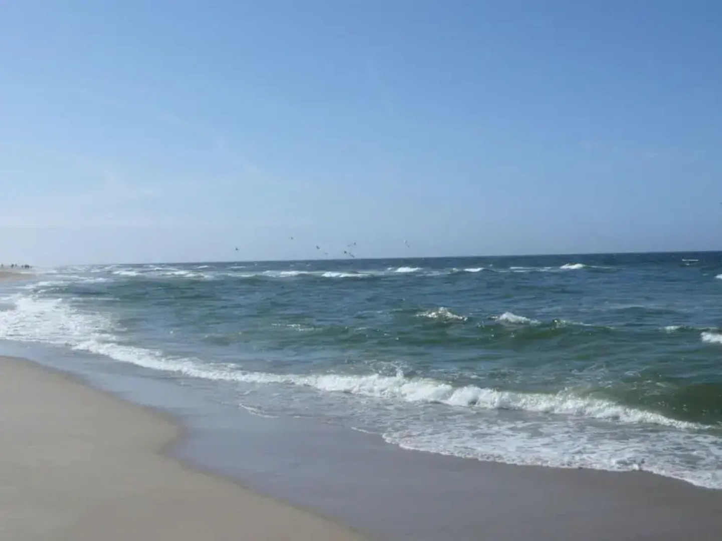 House Flora, Golden Knoepke