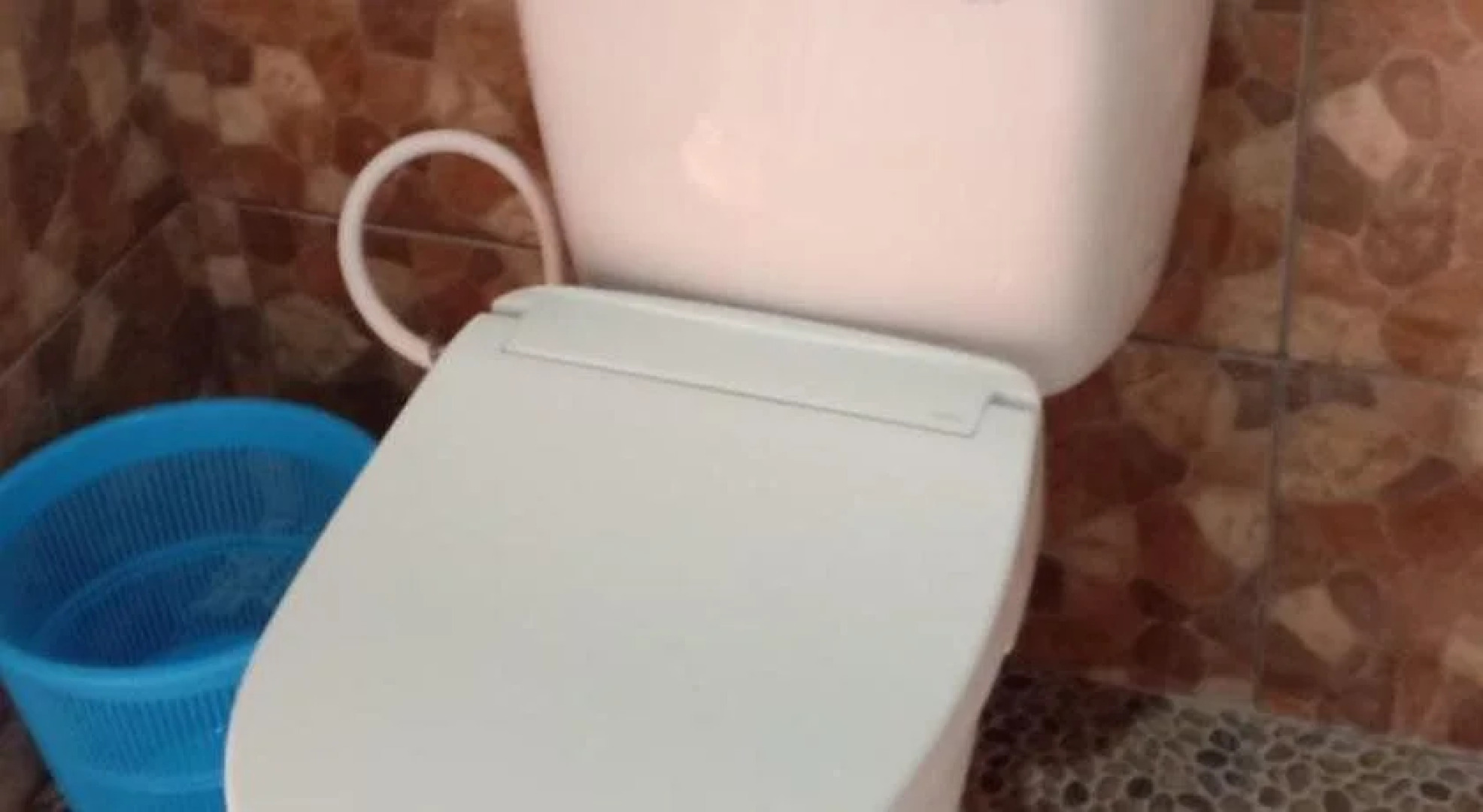 Black Lava Hostel Kintamani