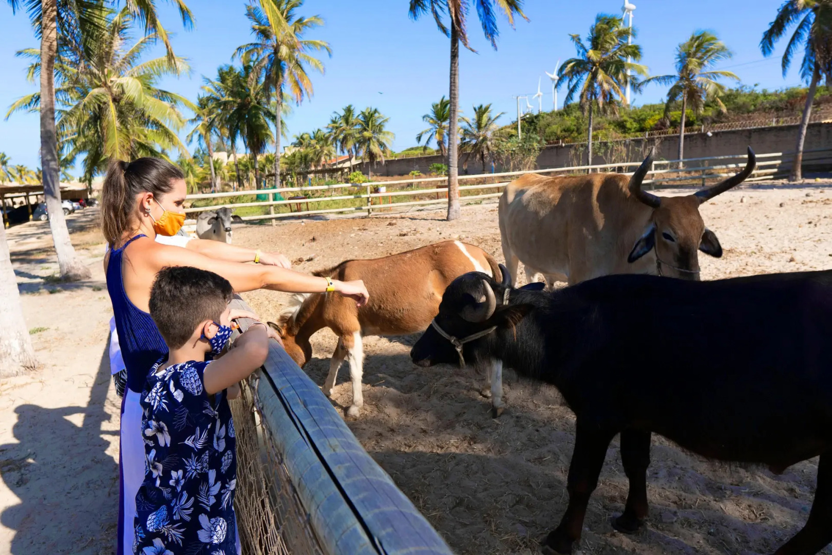 Hotel Parque das Fontes All Inclusive