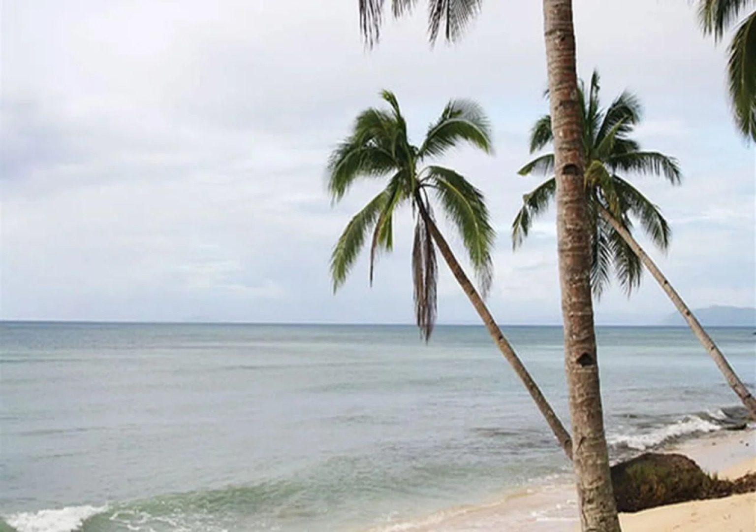 Tarzans Beach Resort