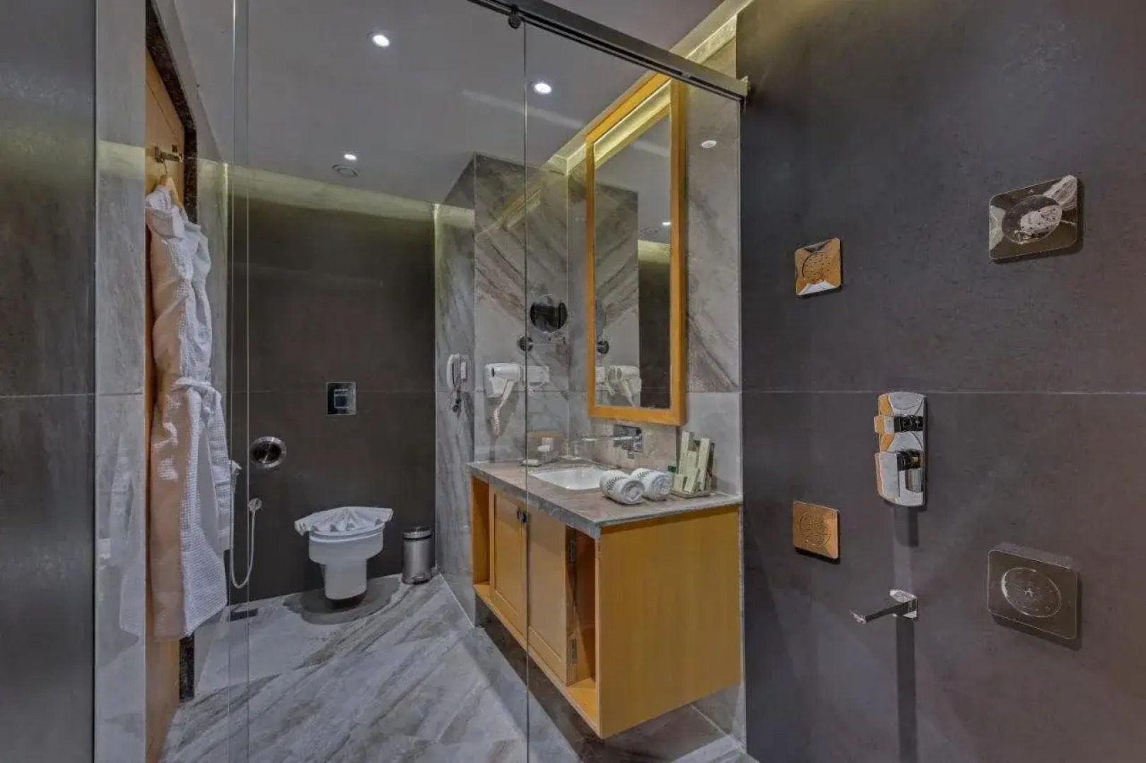 The Fern Residency Morbi