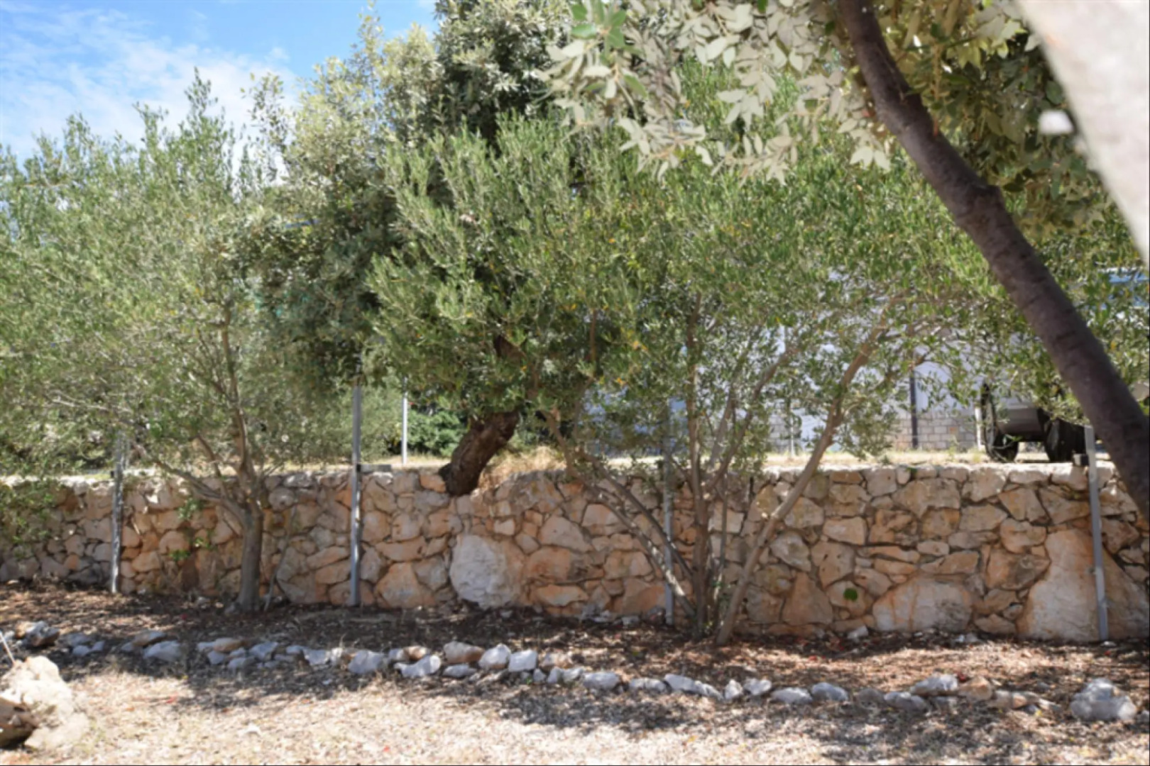 House Movica in Mandre