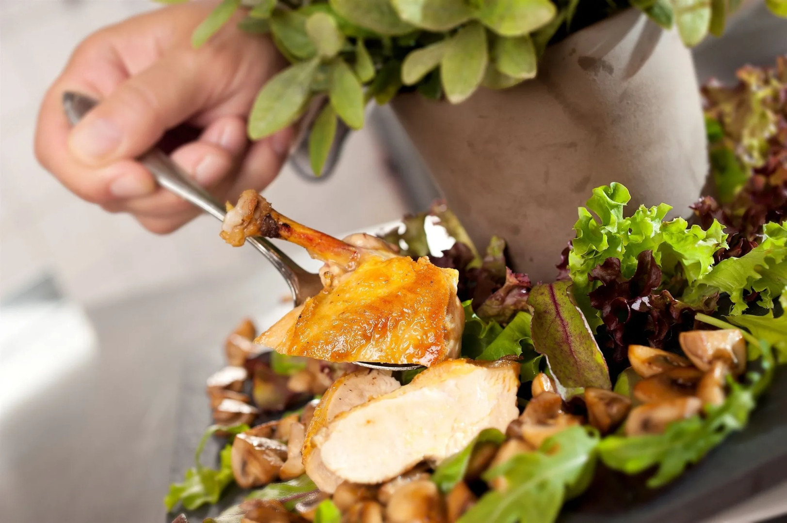 Dorint Thermenhotel Freiburg